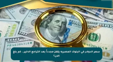 سعر الدولار في البنوك المصرية يقفز مجدداً بعد التراجع الأخير.. كم بلغ الآن؟